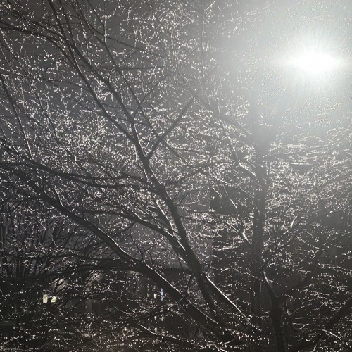 WhereWasWayne SKY  prod. WWW