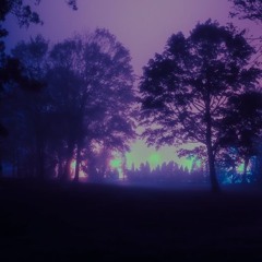 Raving in the forest at 3am…