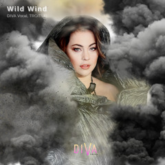 Diva Vocal, Troitski - Wild Wind (Original Mix)