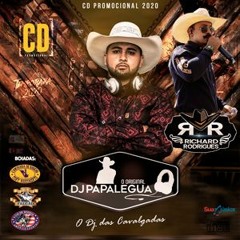 CD DJ PAPALEGUA O DJ DAS CAVALGADAS 2020 ( PROMOCIONAL )