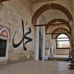 ﷺ ❤️ . سمَوْتَ بنورٍ يضيءُ الدُّنا فزالَ الظلام بربِّ البشـر🍂