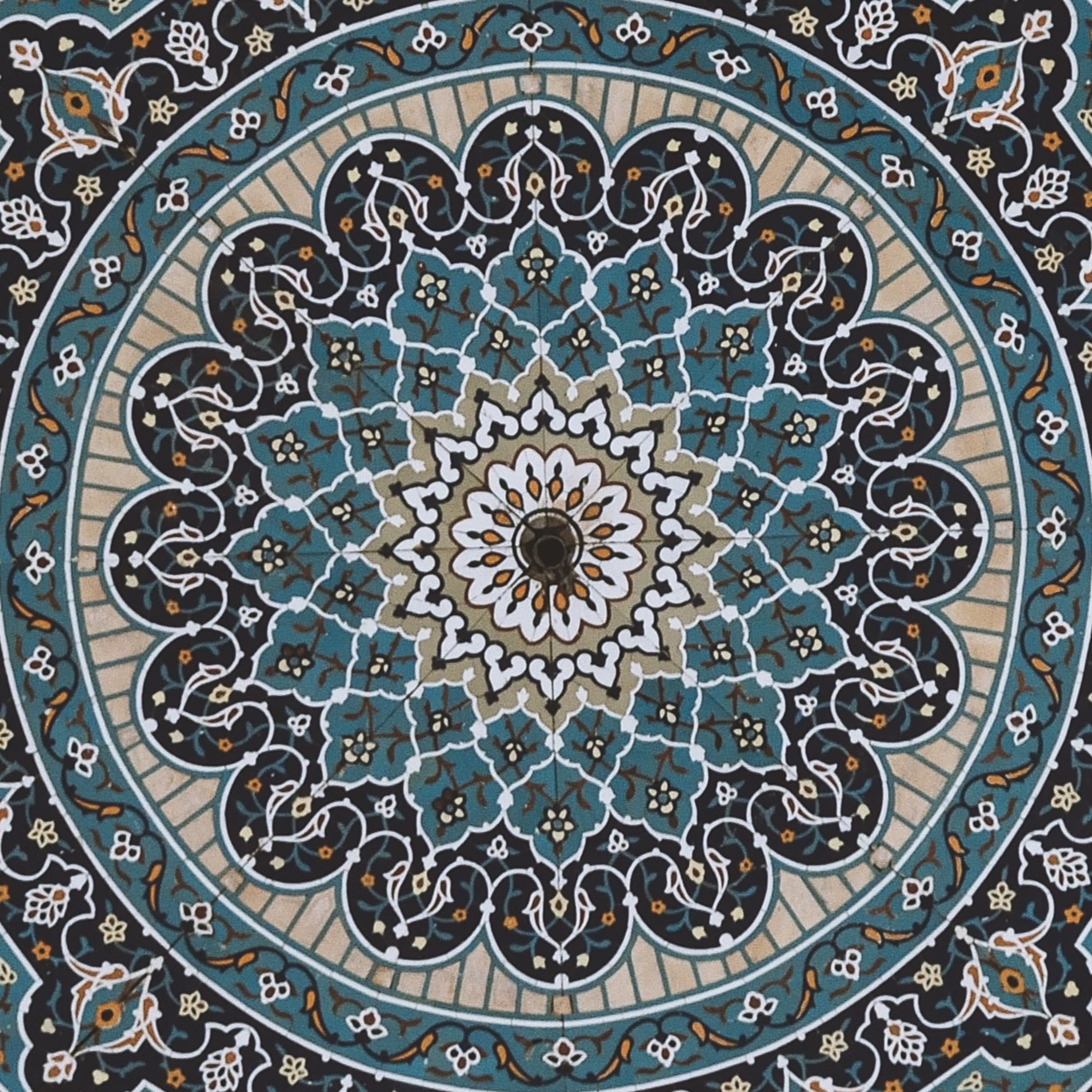 صلى عليك الله يا علم الهدى