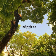 ngày sắp xa - salmon