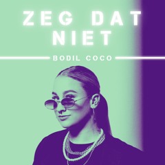 Lil Kleine & Ronnie Flex - Zeg dat niet (Bodil Coco Afro house remix)