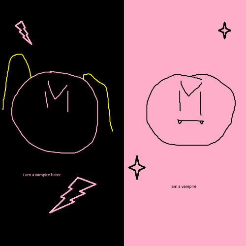 HOW TO KILL A VAMPIRE