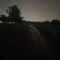NIGHTS ALONE