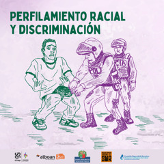 Capítulo 4: Perfilamiento racial y discriminación por parte de la policía