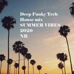 Deep Funky Tech House mix, Summer Vibes