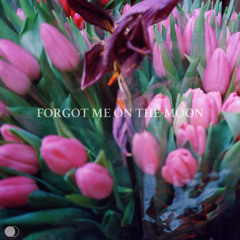 Forgot Me on the Moon