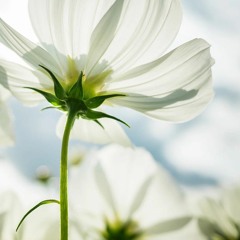 태연 - 만약에(Cover)