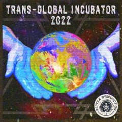 Mr Doris & D-Funk - 'S&M' [Reptile Dysfunction // Trans-Global Incubator 2022]