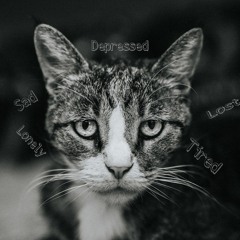 Lost - sad emotional music