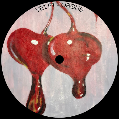 ORGUS