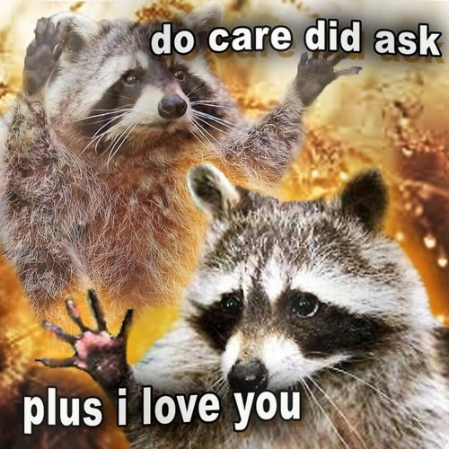 imgoing2.cry