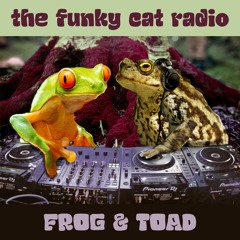 The Funky Cat radio #79 🐸🐸 Frog & Toad guestmix (August 2023)