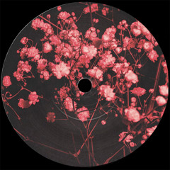 shakira loba (minimal house edit)