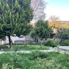 Early Morning in the Garden of Gülcüoğlu Konağı