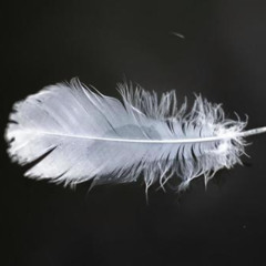 おおぞらをとぶ - NO EFFECT, ONLY GAMEBOY