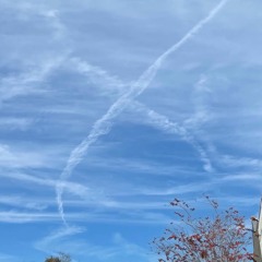 B- bluairport prod b