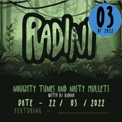 Naughty Tunes & Nasty Mullets 03 - 11.03.22