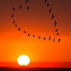 Thankful-Prod Novmber "For Canicia"
