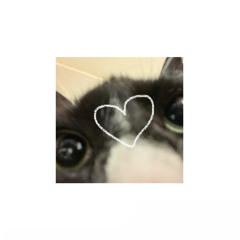 amor