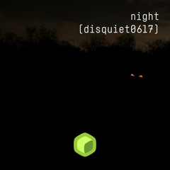 night (disquiet0617)