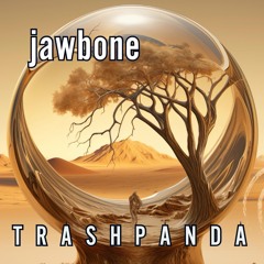 Trash Panda / TP089 / Jawbone [LIVE Saturday Sunrise] @ Oasis 2024 / 2024-05-11
