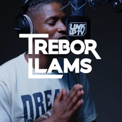 AMBUSH - BEHIND BARZ (TAKE 2)(TREBOR LLAMS VERSION)