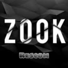Zook inspiration -_- Rescom RMX 2022