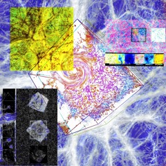 starter pack to get you on your way 2000