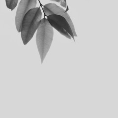 PREMIERE: Enuvva - Hard to living