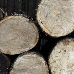 nosticks90