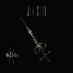 JUN.CHOI Praxis 13.5 #4