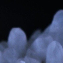 Ambient Live Set // September 25