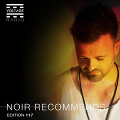 Noir Recommends 117 // Voltage Radio