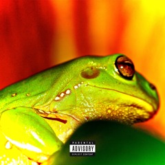Flamin Frog Sh!t