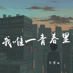 陈雪凝 - 我唯一青春里的路人【動態歌詞/Lyrics Video】