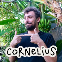 CORNELIUS ✸ orange corail 🪸