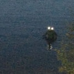 beware the lake