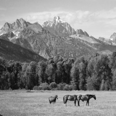 Draw Me Closer to You, Lord