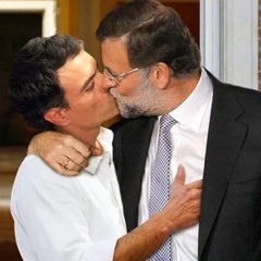 Pedro Sánchez dimisión :)