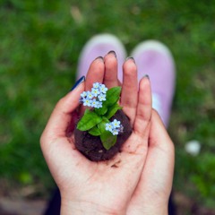 Ep. 407 Meditazione sull'elemento terra e la compassione