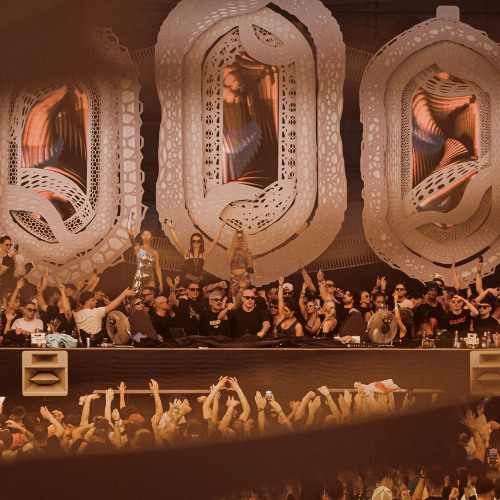 Zorro B2B La T