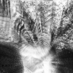 Me Encontré En Tu Vientre