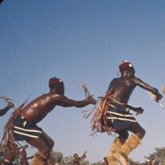 [ Elucide l' ediculE ]  - - - tribal awekening
