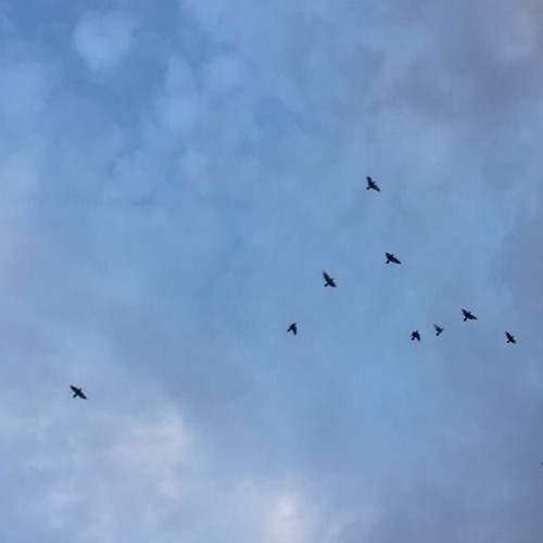 ‎⁨ عبدالرحمن مسعد | لا تحزن إن الله معنا⁩