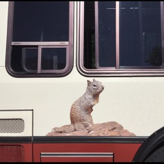 Bus stops