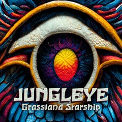 JUNGLEYE - Grassland Starship EP