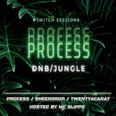 27.08.25 DNB B2B  Session  Process Twenty4Carat Mc Slipps